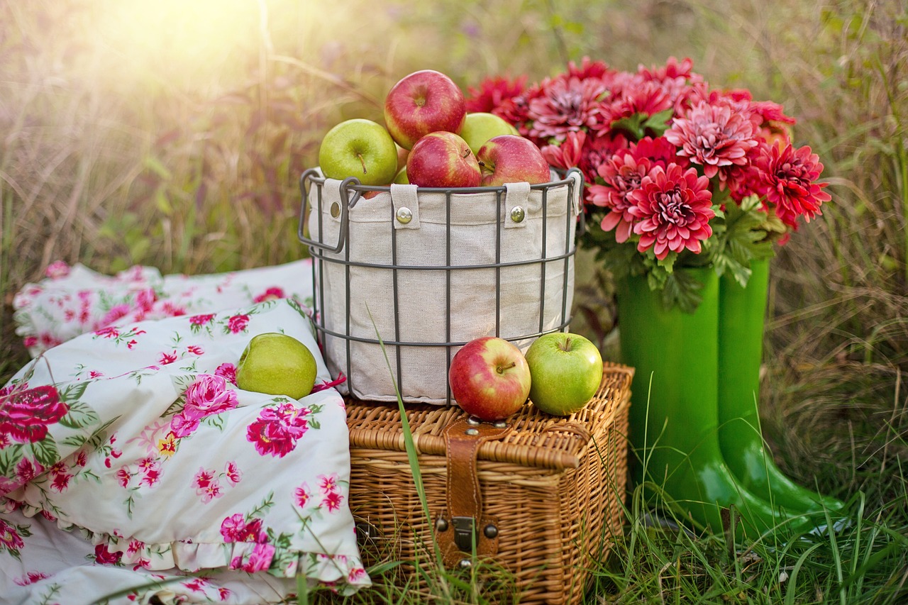 apples, fruits, picnic-5594126.jpg