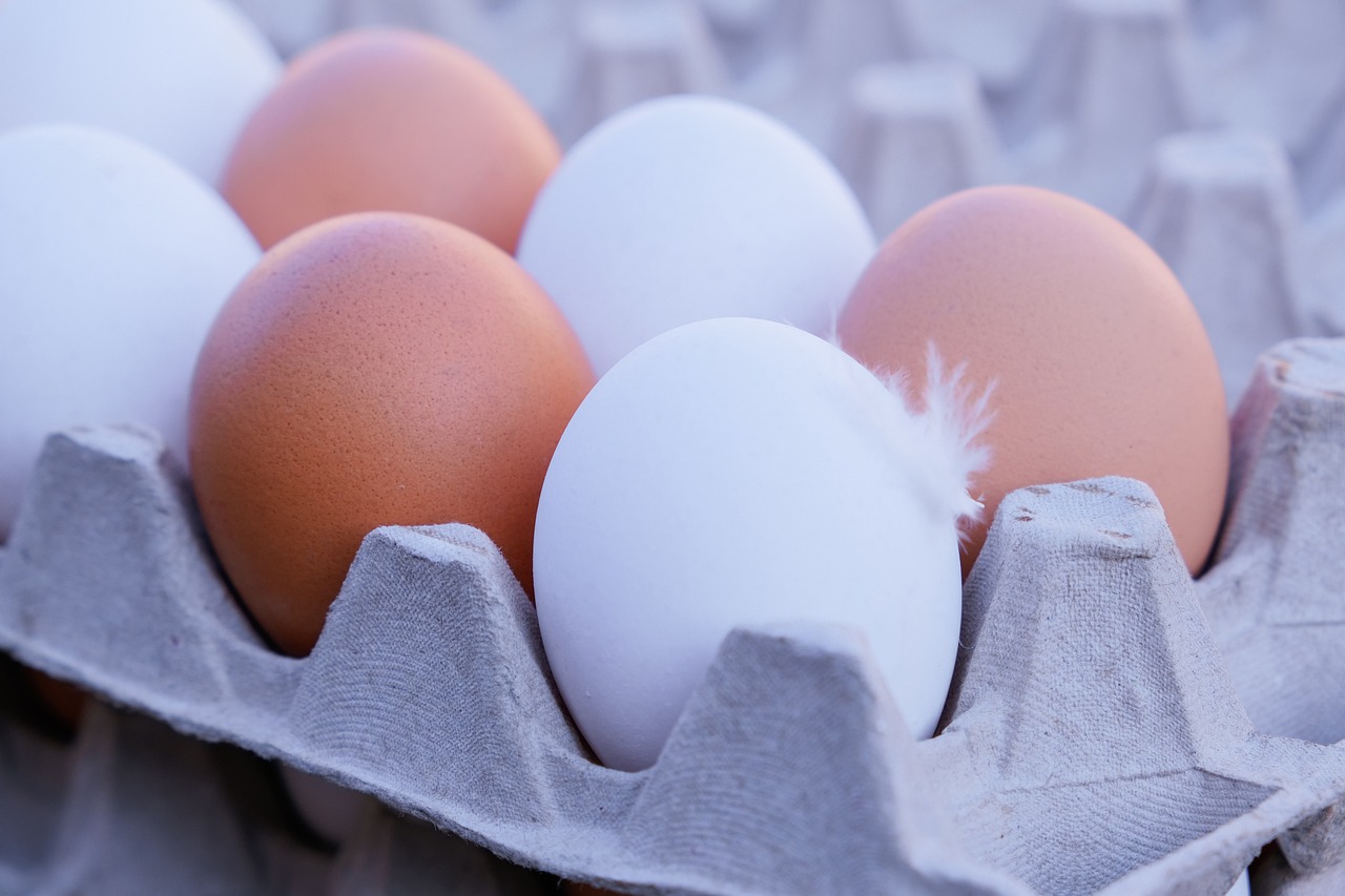 eggs, chicken eggs, chicken product-7478859.jpg