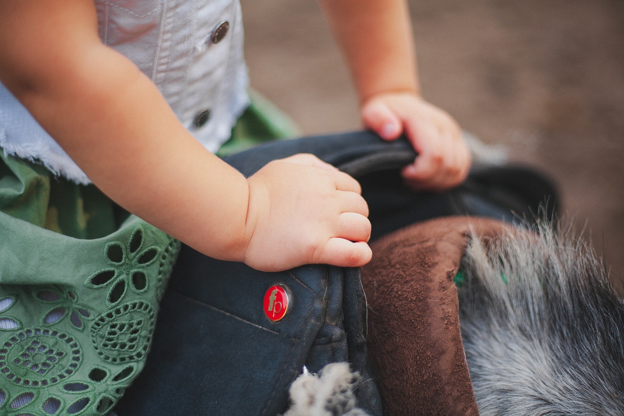 racecourse, baby, saddle-4546944.jpg